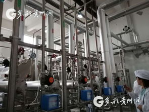 多彩贵州网 贵州健康医药产业产值今年目标1000亿