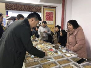 药圃 长成记 华佗故里 安徽亳州的医药经