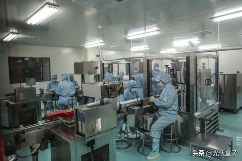 光伏突然席卷各大制药厂 药你好看