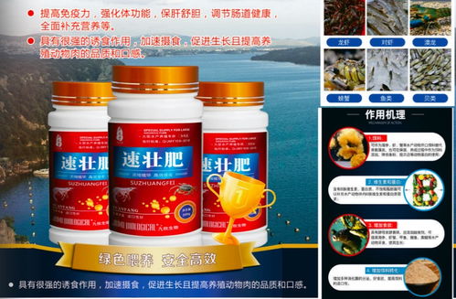 华佗医药水产促生长解决方案 助力海参、虾蟹与鱼类高效养殖